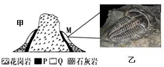 读某地岩层剖面图（下图），回答下列9-10题。9．图甲中P岩石类型可能为（   ）A.侵入岩     B...