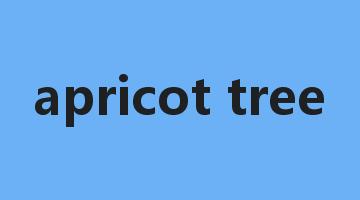 apricot tree是什么意思_apricot tree怎么读_apricot tree的用法_翻译_短语搭配_权威例句