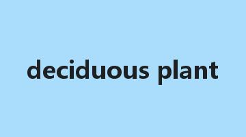 deciduous plant是什么意思_deciduous plant怎么读_deciduous plant的用法_翻译_短语搭配_权威例句