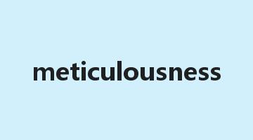 meticulousness是什么意思_meticulousness怎么读_meticulousness的用法_翻译_短语搭配_权威例句