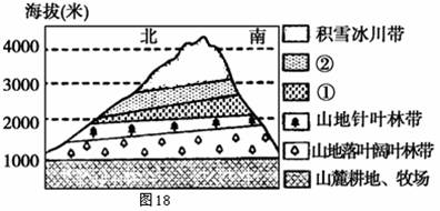 读“某山地自然带分布图”，图中①、②代表的植被类型分别是   A．山地常绿阔叶林带  B．针叶阔叶混交林...