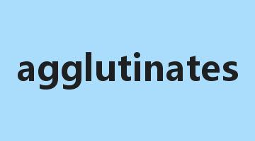 agglutinates