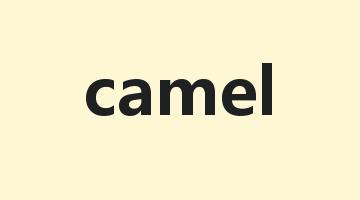 camel是什么意思_camel怎么读_camel的用法_翻译_短语搭配_权威例句