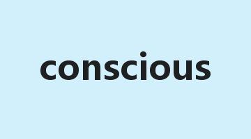 conscious是什么意思_conscious怎么读_conscious的用法_翻译_短语搭配_权威例句