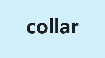 collar是什么意思_collar怎么读_collar的用法_翻译_短语搭配_权威例句