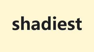 shadiest是什么意思_shadiest怎么读_shadiest的用法_翻译_短语搭配_权威例句