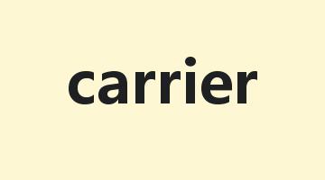 carrier是什么意思_carrier怎么读_carrier的用法_翻译_短语搭配_权威例句