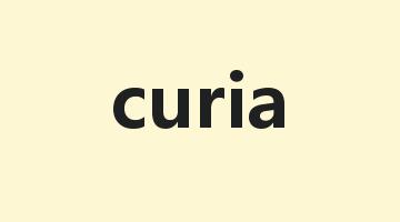 curia