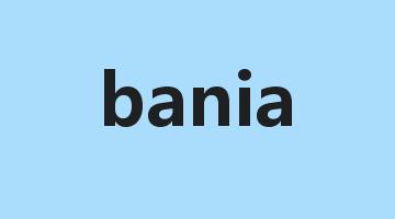 bania是什么意思_bania怎么读_bania的用法_翻译_短语搭配_权威例句