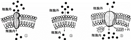 如图为物质出入细胞的3种方式示意图，请据图回答（内填序号）：（1）物质利用载体蛋白出入细胞的运输方式是图...