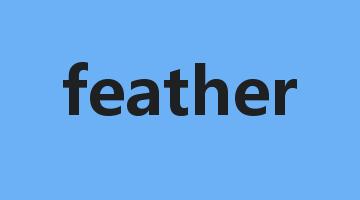 feather是什么意思_feather怎么读_feather的用法_翻译_短语搭配_权威例句