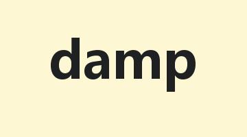 damp是什么意思_damp怎么读_damp的用法_翻译_短语搭配_权威例句