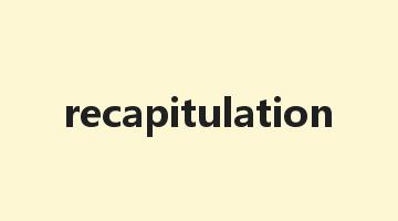 recapitulation是什么意思_recapitulation怎么读_recapitulation的用法_翻译_短语搭配_权威例句