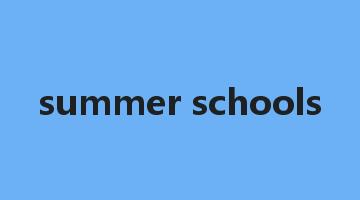 summer schools是什么意思_summer schools怎么读_summer schools的用法_翻译_短语搭配_权威例句