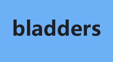 bladders是什么意思_bladders怎么读_bladders的用法_翻译_短语搭配_权威例句