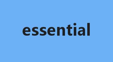 essential是什么意思_essential怎么读_essential的用法_翻译_短语搭配_权威例句