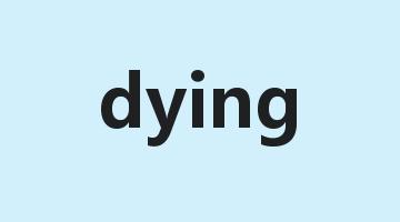 dying是什么意思_dying怎么读_dying的用法_翻译_短语搭配_权威例句