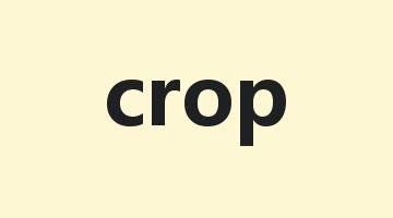 crop是什么意思_crop怎么读_crop的用法_翻译_短语搭配_权威例句