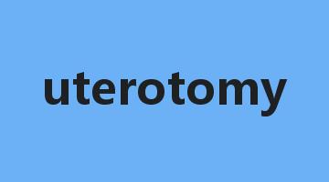 uterotomy是什么意思_uterotomy怎么读_uterotomy的用法_翻译_短语搭配_权威例句