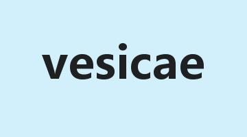 vesicae是什么意思_vesicae怎么读_vesicae的用法_翻译_短语搭配_权威例句