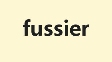 fussier是什么意思_fussier怎么读_fussier的用法_翻译_短语搭配_权威例句