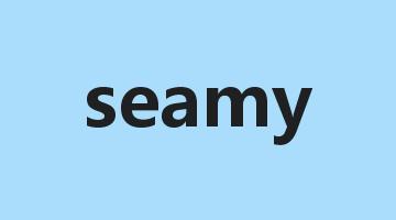 seamy是什么意思_seamy怎么读_seamy的用法_翻译_短语搭配_权威例句