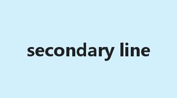 secondary line是什么意思_secondary line怎么读_secondary line的用法_翻译_短语搭配_权威例句