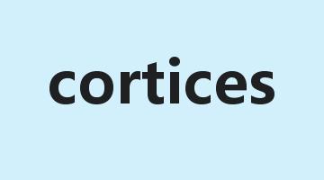 cortices是什么意思_cortices怎么读_cortices的用法_翻译_短语搭配_权威例句