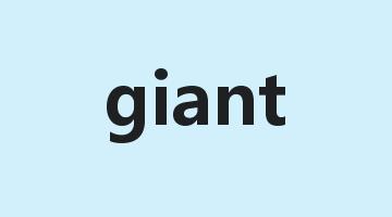 giant是什么意思_giant怎么读_giant的用法_翻译_短语搭配_权威例句