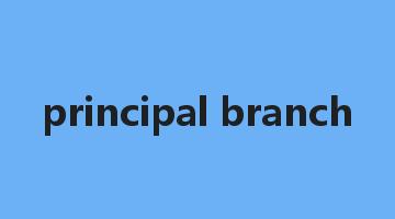 principal branch是什么意思_principal branch怎么读_principal branch的用法_翻译_短语搭配_权威例句