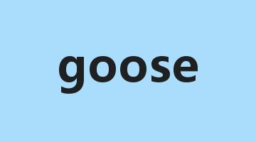 goose是什么意思_goose怎么读_goose的用法_翻译_短语搭配_权威例句