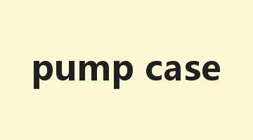 pump case是什么意思_pump case怎么读_pump case的用法_翻译_短语搭配_权威例句