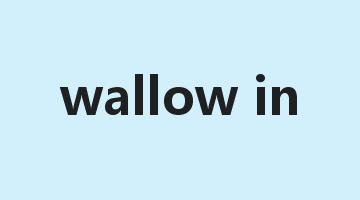 wallow in是什么意思_wallow in怎么读_wallow in的用法_翻译_短语搭配_权威例句