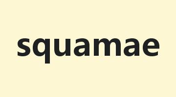 squamae是什么意思_squamae怎么读_squamae的用法_翻译_短语搭配_权威例句