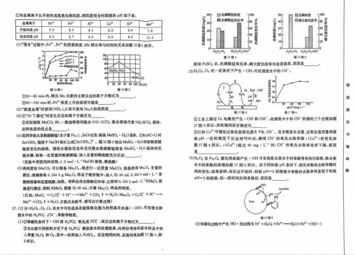 4.webp