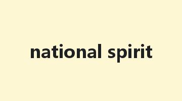 national spirit是什么意思_national spirit怎么读_national spirit的用法_翻译_短语搭配_权威例句