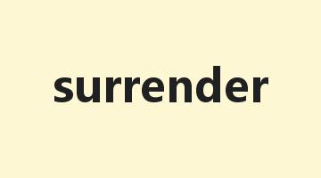 surrender是什么意思_surrender怎么读_surrender的用法_翻译_短语搭配_权威例句