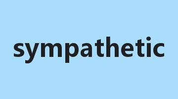 sympathetic是什么意思_sympathetic怎么读_sympathetic的用法_翻译_短语搭配_权威例句