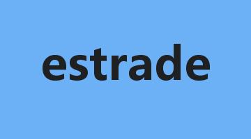 estrade是什么意思_estrade怎么读_estrade的用法_翻译_短语搭配_权威例句