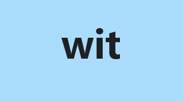 wit是什么意思_wit怎么读_wit的用法_翻译_短语搭配_权威例句