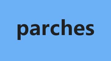 parches是什么意思_parches怎么读_parches的用法_翻译_短语搭配_权威例句