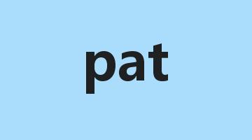 pat是什么意思_pat怎么读_pat的用法_翻译_短语搭配_权威例句
